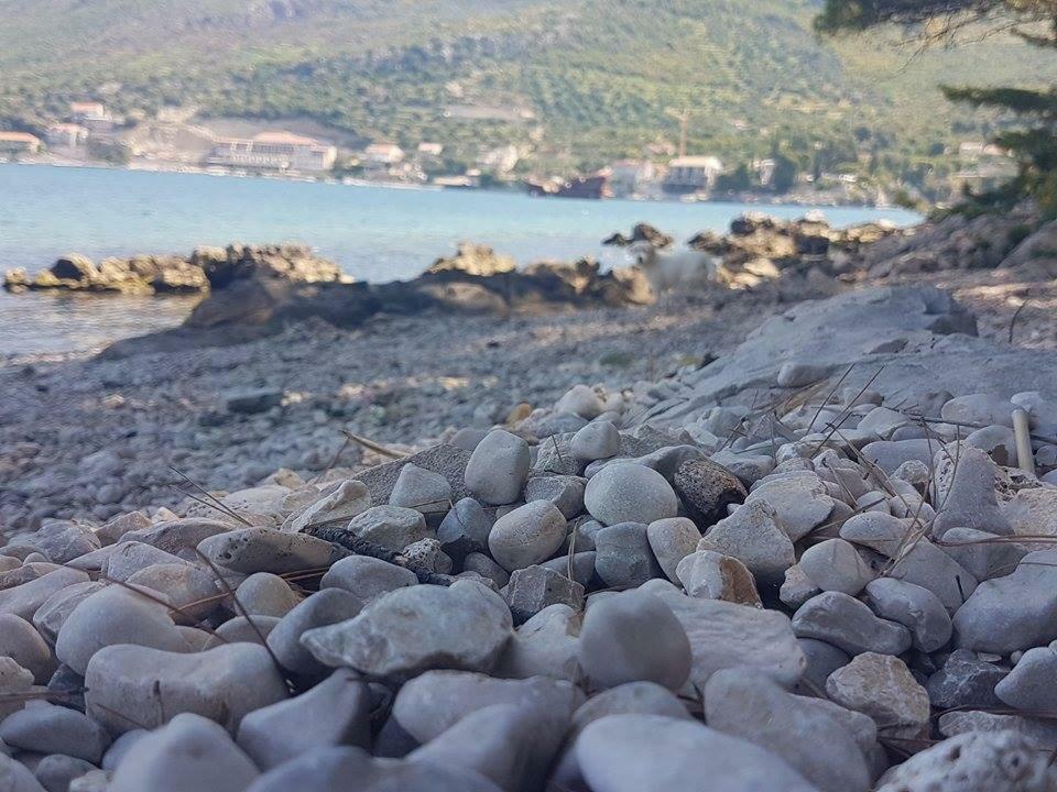 Hanas Dream Places Zaton  Dış mekan fotoğraf